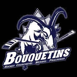 HCMP - LES BOUQUETINS