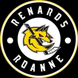 ROANNE - LES RENARDS